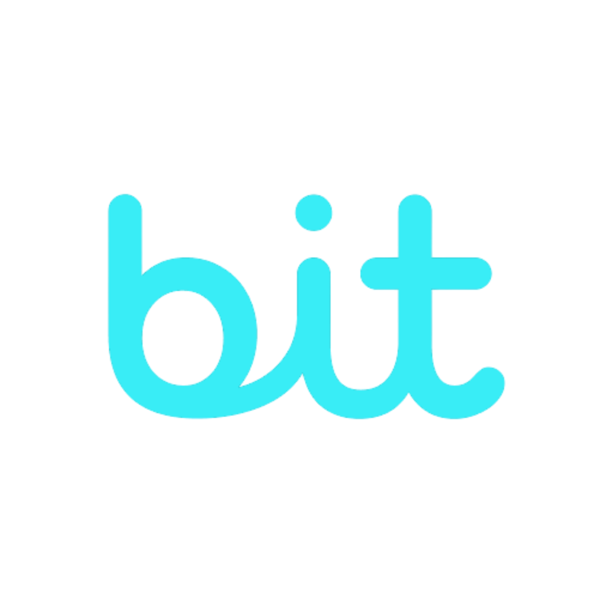 Bit